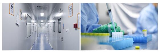 从美国CDC犯的错，看如何生产合格的新冠检测试剂盒？