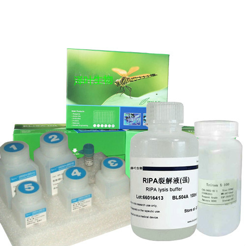 Bovine Serum Albumin Solution（BSA溶液，牛血清白蛋白溶液），1mg/mL