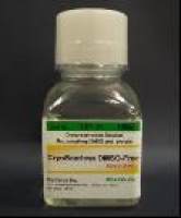 可检测细胞温度的荧光探针Thermoprobe