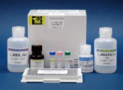 大鼠胰岛素 ELISA试剂盒（T型）