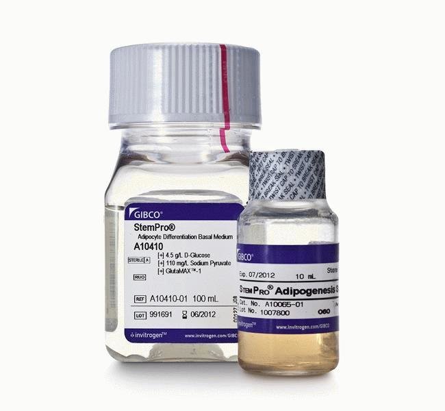 GIBCO成脂分化试剂盒A1007001，骨髓间充质干细胞MSCs成脂分化
