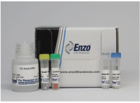 线粒体检测分析