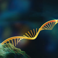 绝对定量转录组测序（Digital mRNA-seq）