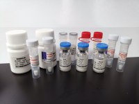 测序级重组赖氨酰内肽酶/胰蛋白酶预混装