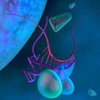 RIP测序 | 核酸-蛋白互作研究