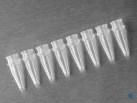 (套装)八连排PCR薄壁管0.2ml