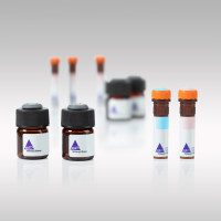 MACS流式抗体 CD56 抗体