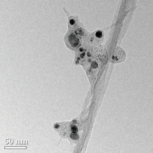 单颗粒 ICP-MS 应用：纳米管分析