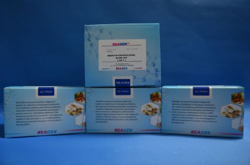 甲睾酮ELISA检测试剂盒