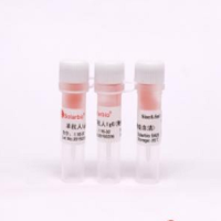 羊抗兔IgG(免疫血清)