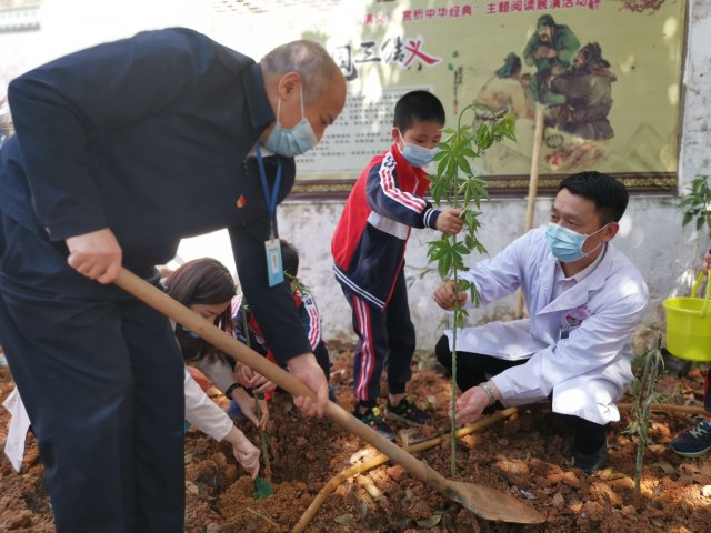 3.阳绍华主任与学校师生在种栽中药植物.jpg