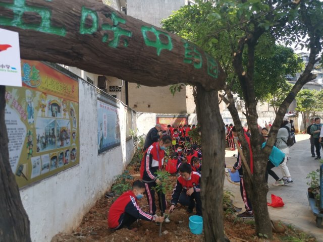 4.将军桥小学的同学们在五味中药园内开展劳动.jpg