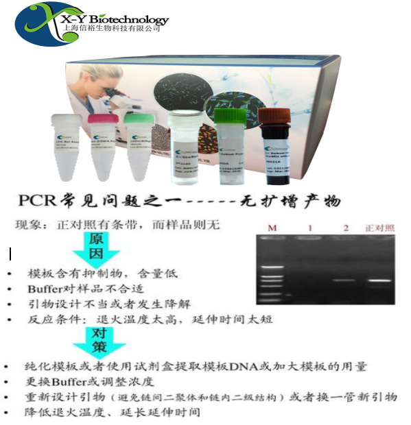 鲍疱疹样病毒染料法荧光定量PCR试剂盒