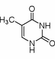 Thymine 胸腺嘧啶