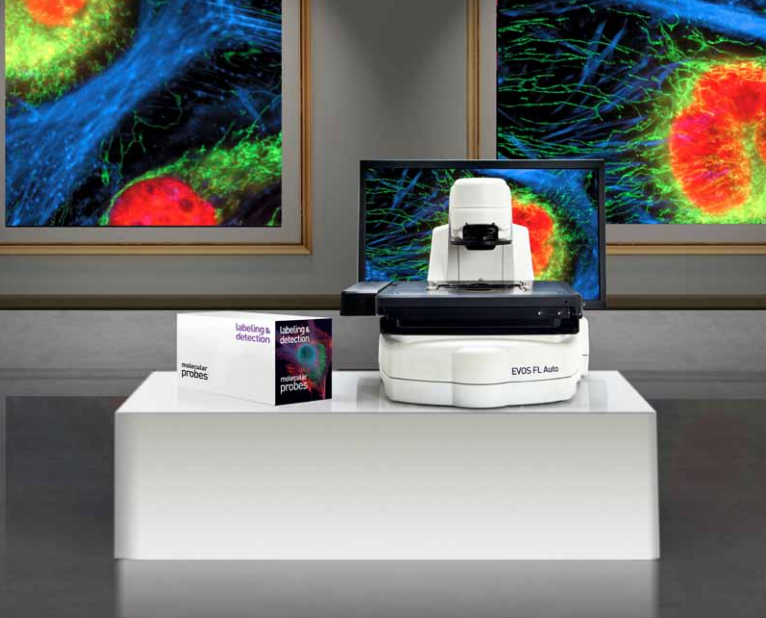 Thermo Fisher Scientific EVOS新型显微镜细胞成像系统
