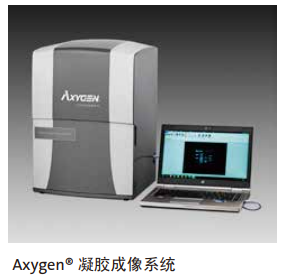 Corning®Axygen® 凝胶成像系统
