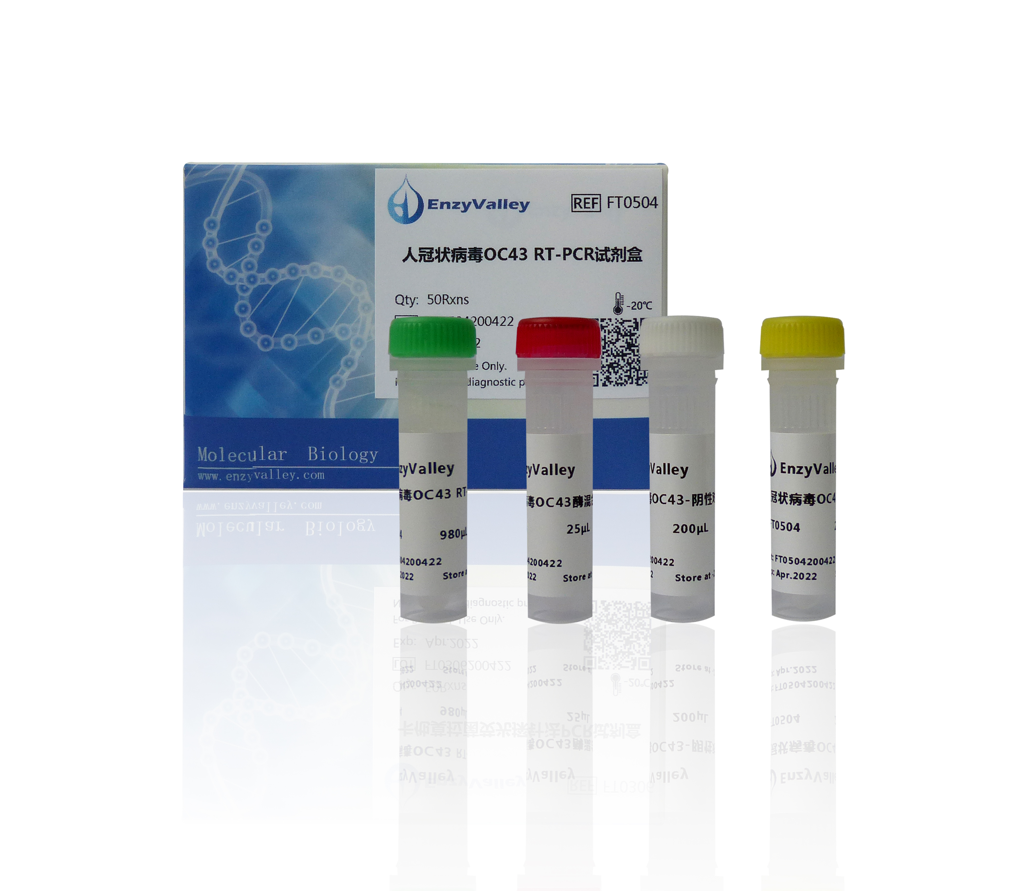 人冠状病毒OC43 RT-PCR试剂盒