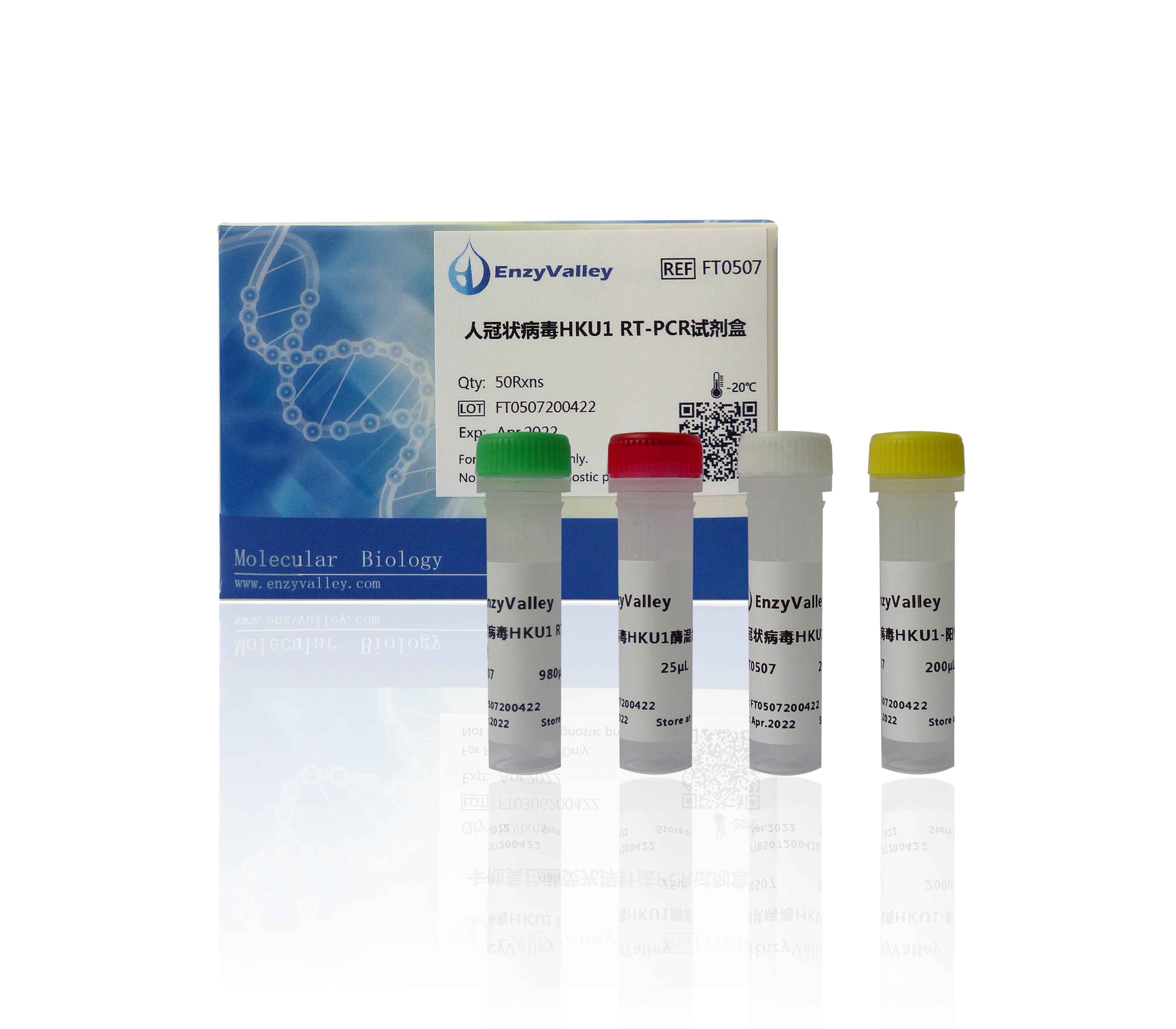 人冠状病毒HKU1 RT-PCR试剂盒