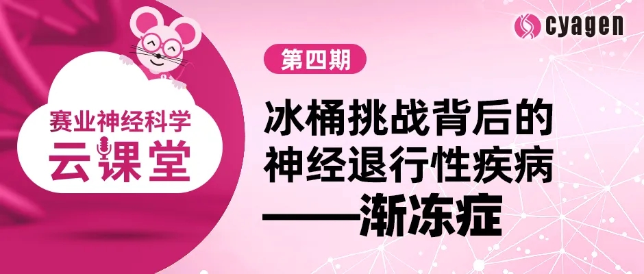 赛业神经科学第四期：冰桶挑战背后的神经退行性疾病——渐冻症