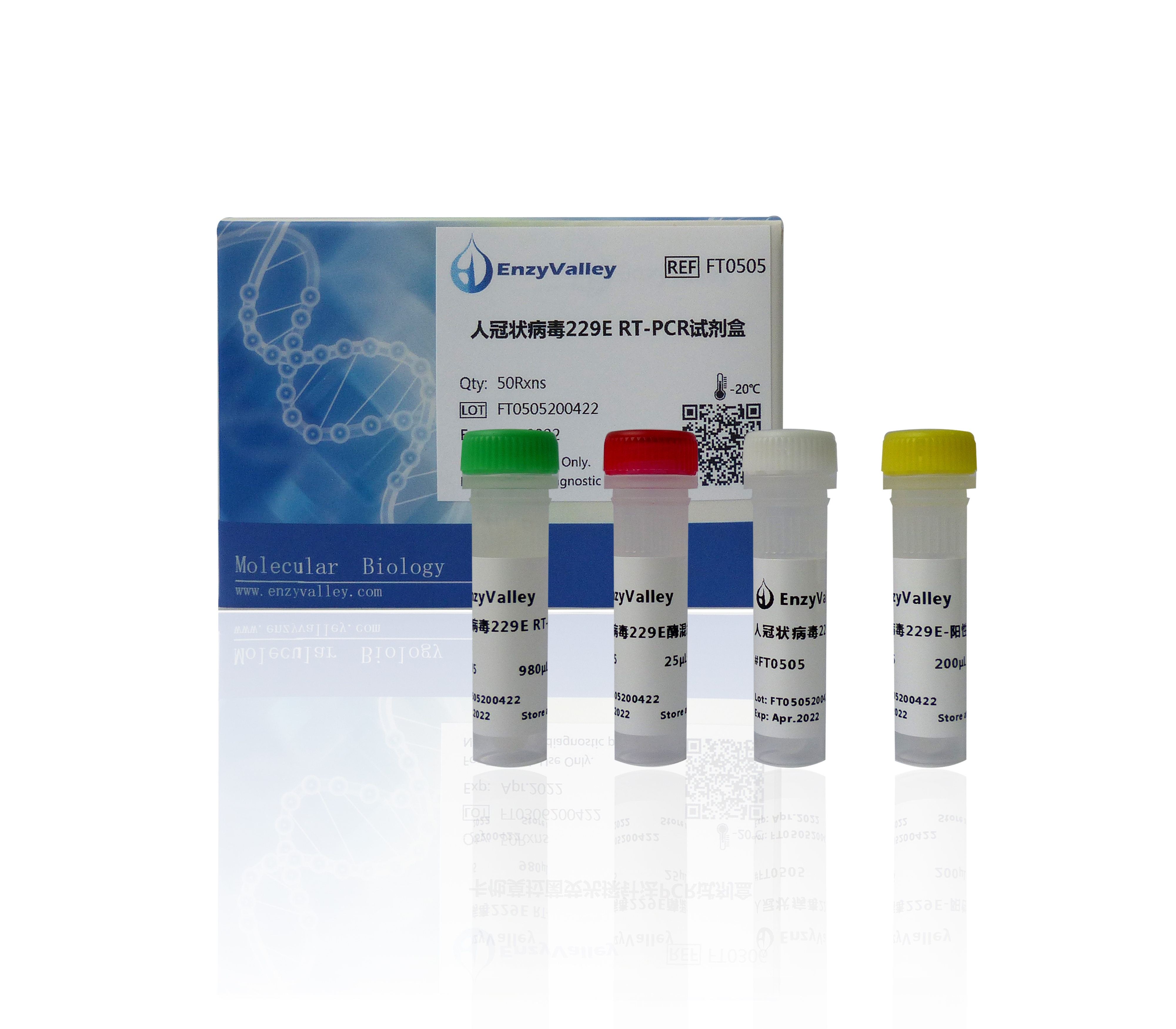 人冠状病毒229E RT-PCR试剂盒
