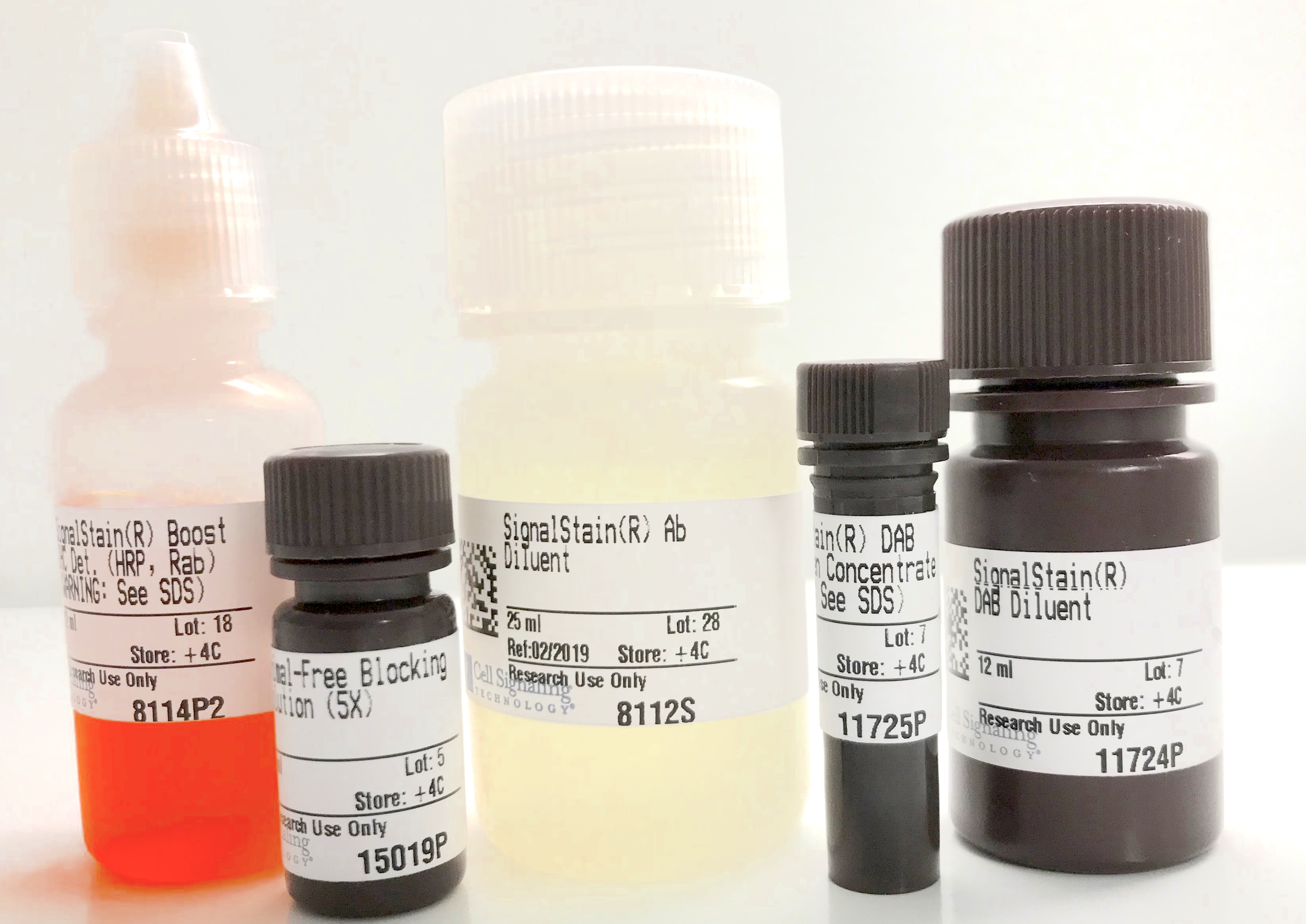 Immunohistochemistry Applicati