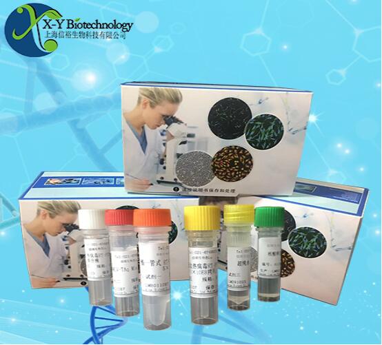 鸭肝炎病毒3型染料法荧光定量RT-PCR试剂盒