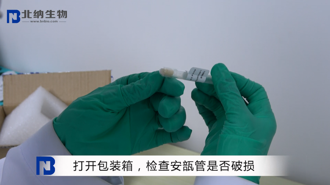 冻干粉厌氧菌的活化方法