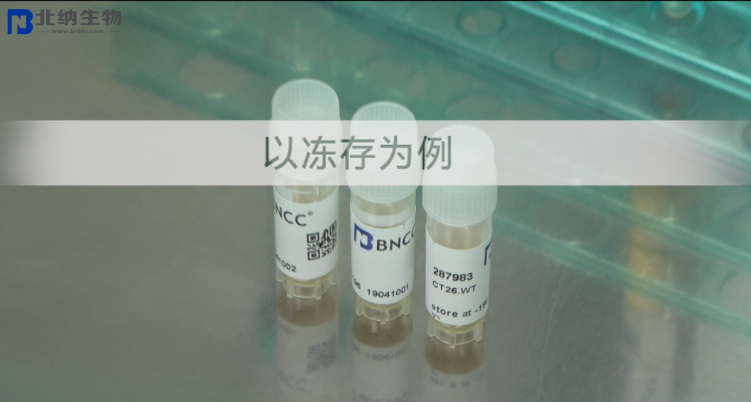 贴壁细胞的保藏方法