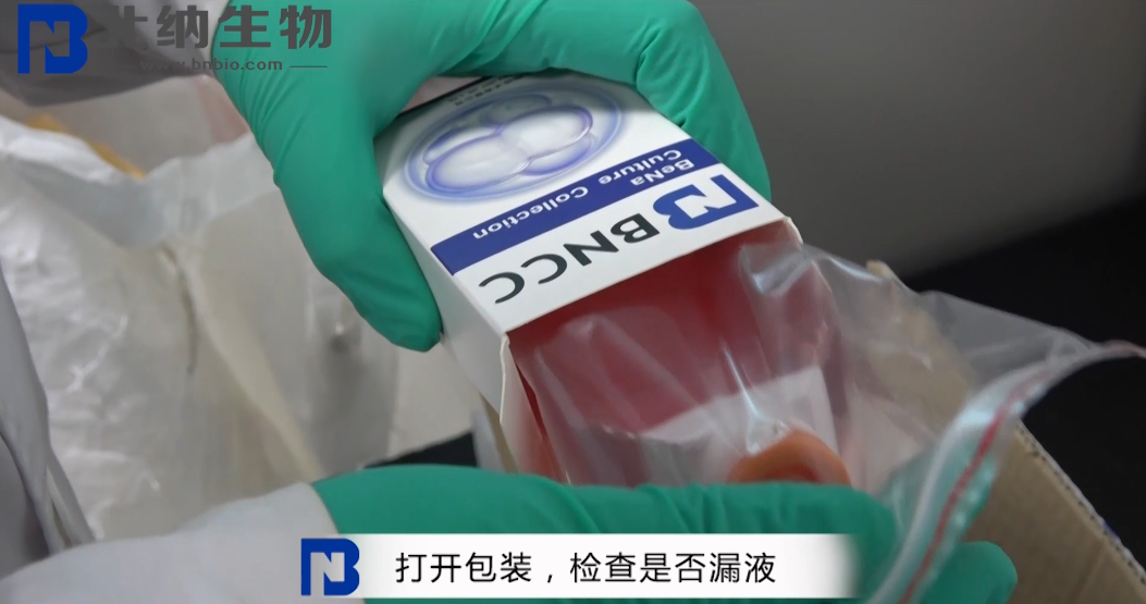 收到贴壁细胞后如何处理？