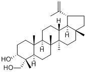 Lup-20(29)-ene-3α,23-diol厂家