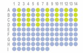 [胰腺癌，120点]HPanA120PG01