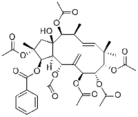 Jatrophane 2说明书