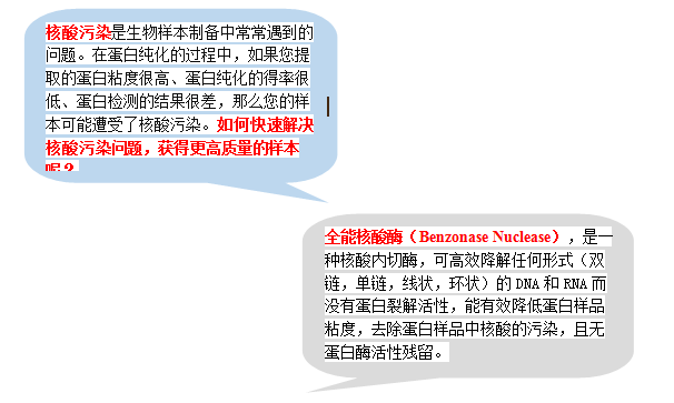 翊圣生物全能核酸酶Benzonase Nuclease