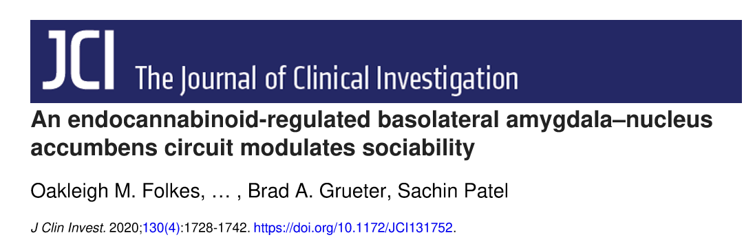 《文献解读》自闭症神经环路研究