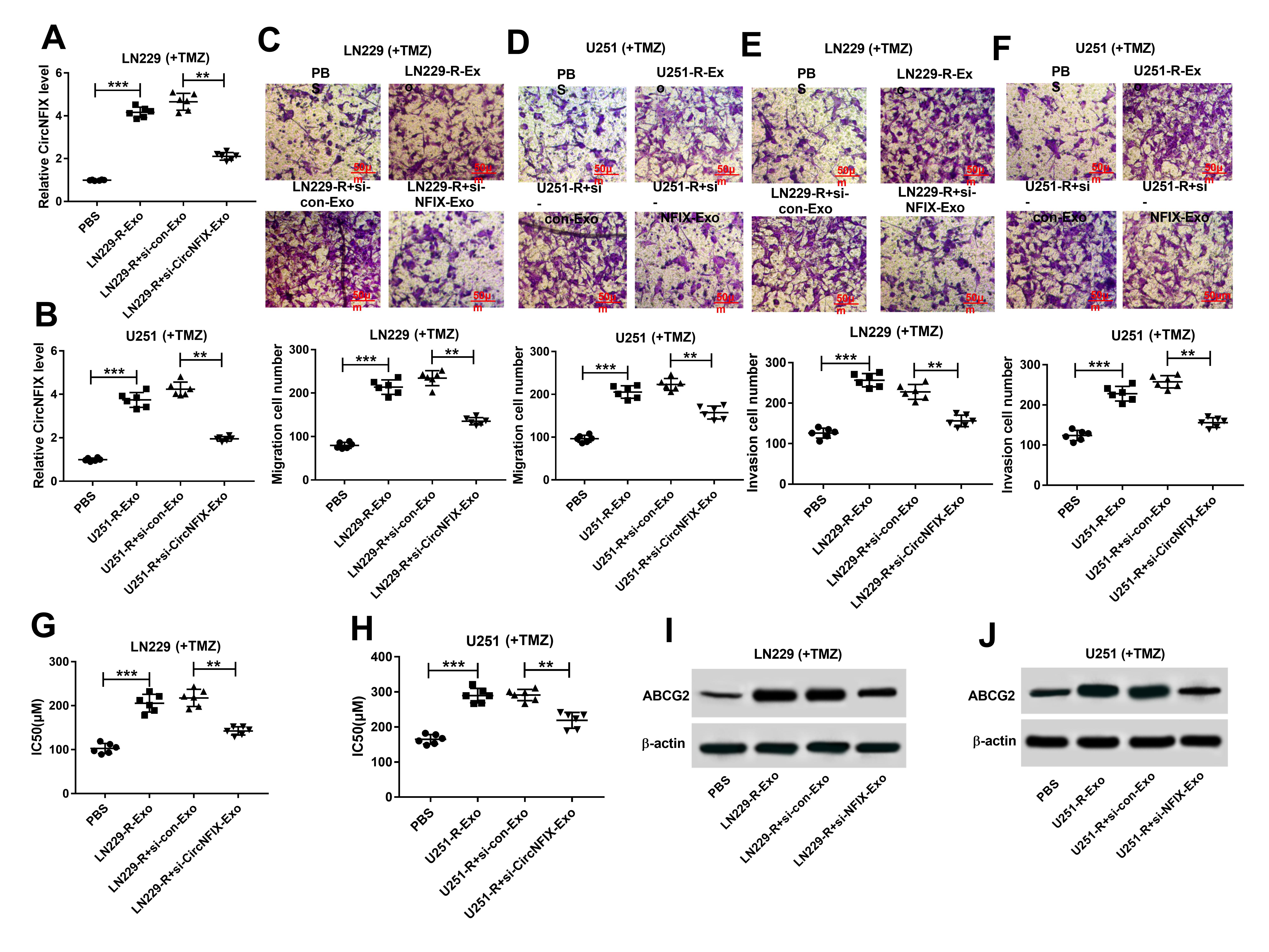 开局一个circRNA，如何反手一篇一区SCI？