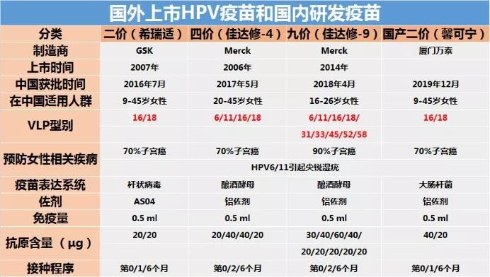 最成功的癌症疫苗 hpv 及其疫苗 向宫颈癌亮剑 生物学霸精选 丁香通