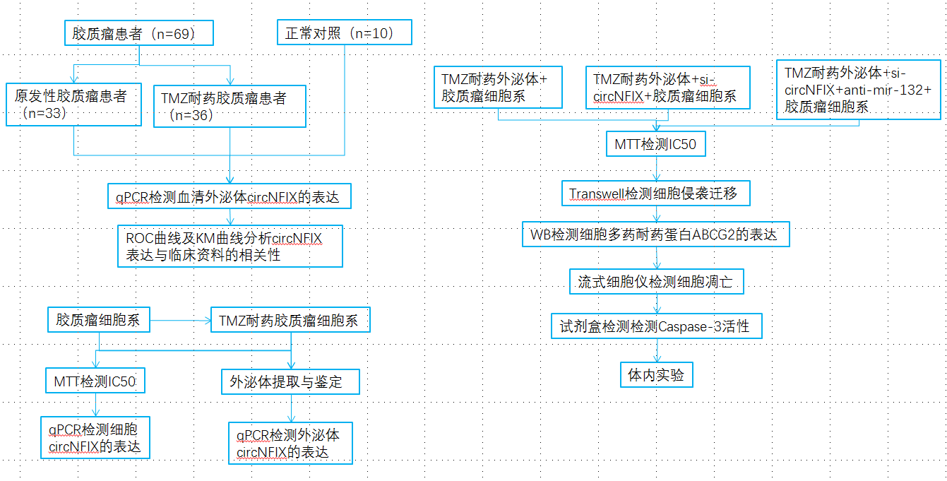 开局一个circRNA，如何反手一篇一区SCI？