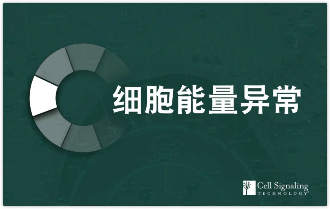 重温Hallmarks of Cancer第四节： 解读细胞能量异常及相关信号通路