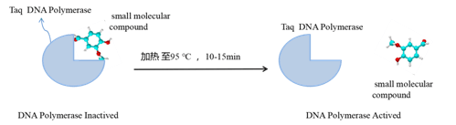 干货分享|热启动酶耐热机制全面解析