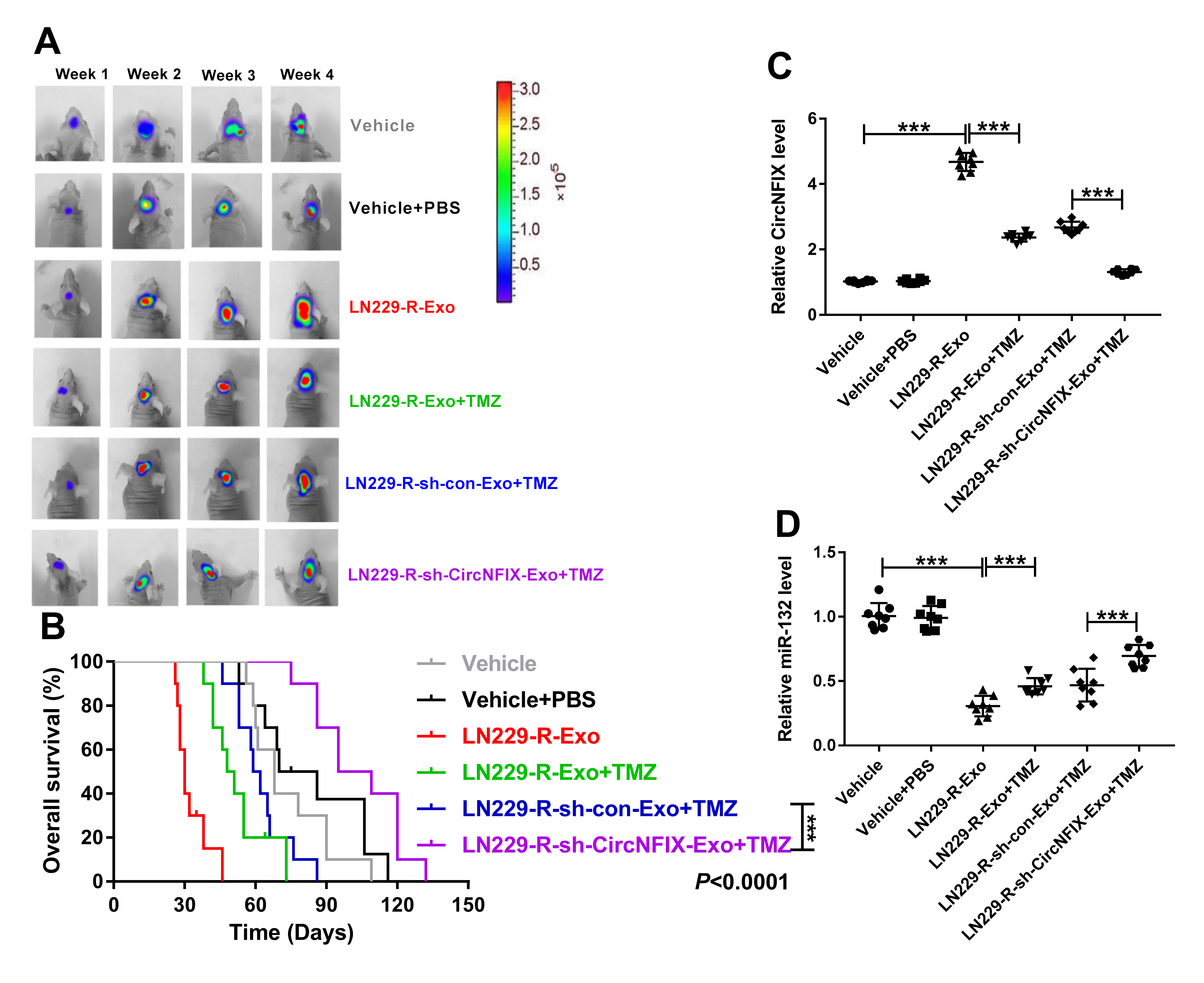开局一个circRNA，如何反手一篇一区SCI？