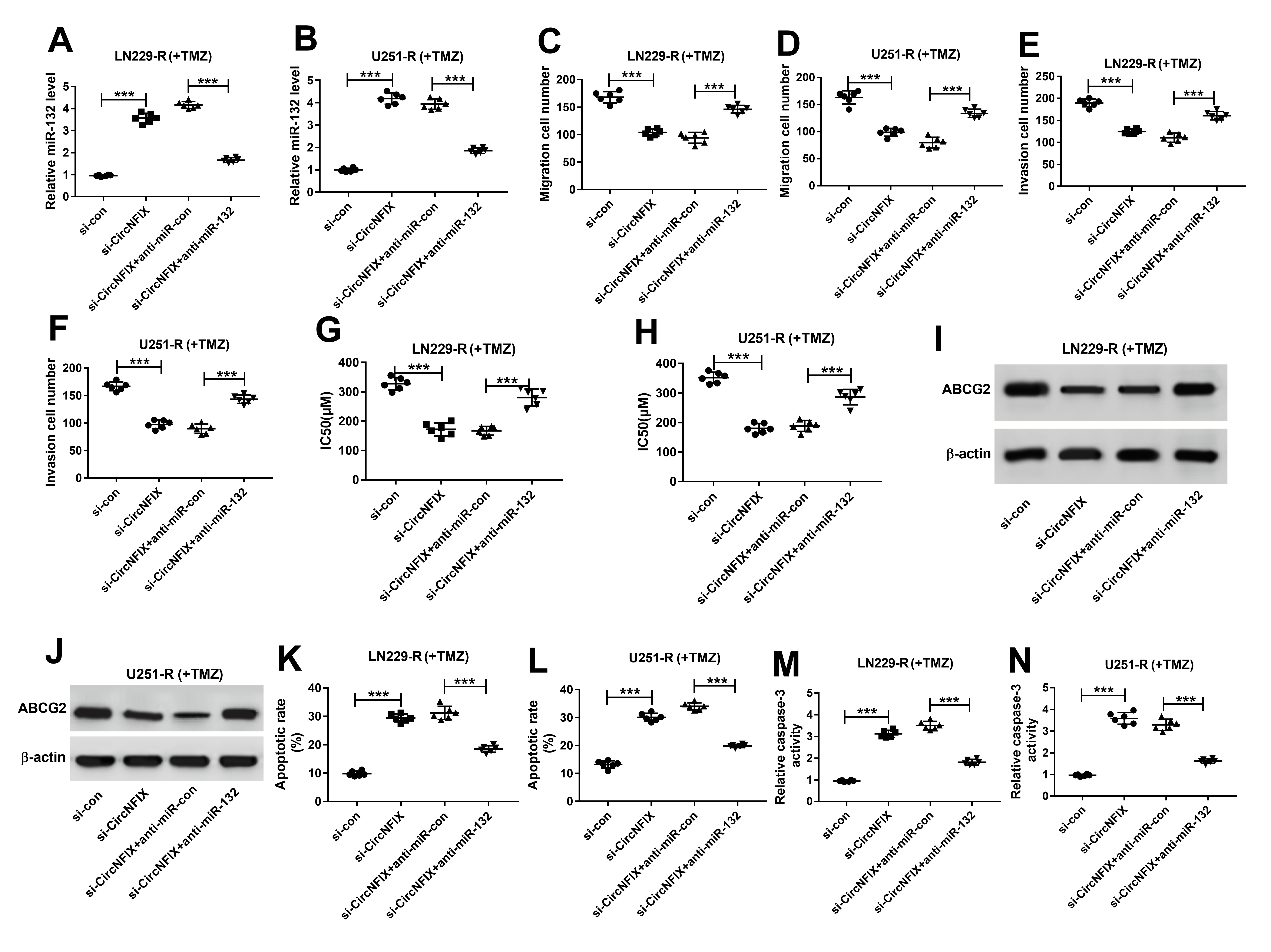 开局一个circRNA，如何反手一篇一区SCI？