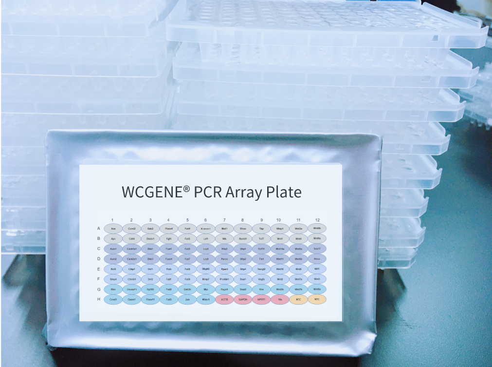 沃吉基因PCR ARRAY产品招商