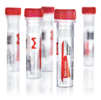 默克 ZooMAb 兔单抗