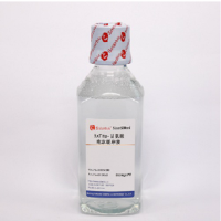 5×Tris-甘氨酸电泳缓冲液