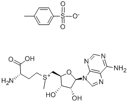 17176-17-9/S-腺甘基蛋氨酸