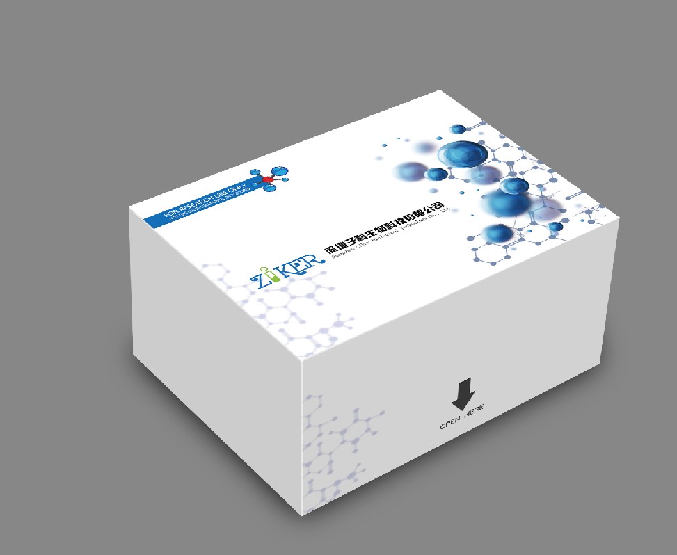 深圳现货人白介素1α（IL-1α）ELISA检测试剂盒