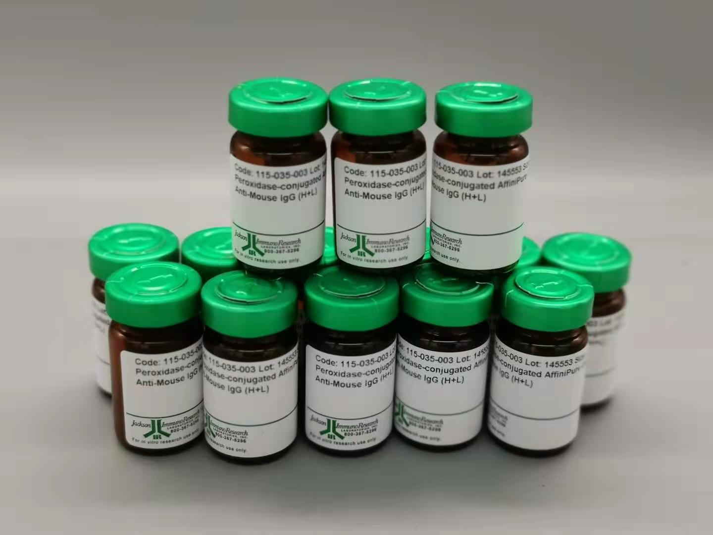 jackson 二抗 115-035-003 羊抗鼠 蚂蚁淘代理长期现货