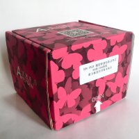 APPLYGEN变性预制胶（8%Hepes10孔） T201901  厂家直销，提供OEM定制服务，大包装更优惠 