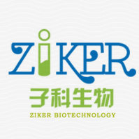 植物根系活力检测液(甲烯蓝比色法)