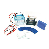 DYCZ-25D型双垂直电泳仪 